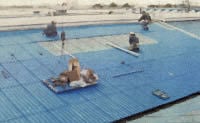 網入りガラス嵌め 網入りガラス嵌め