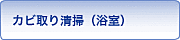 カビ取り清掃（浴室）