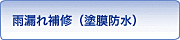 雨漏れ補修（塗膜防水）